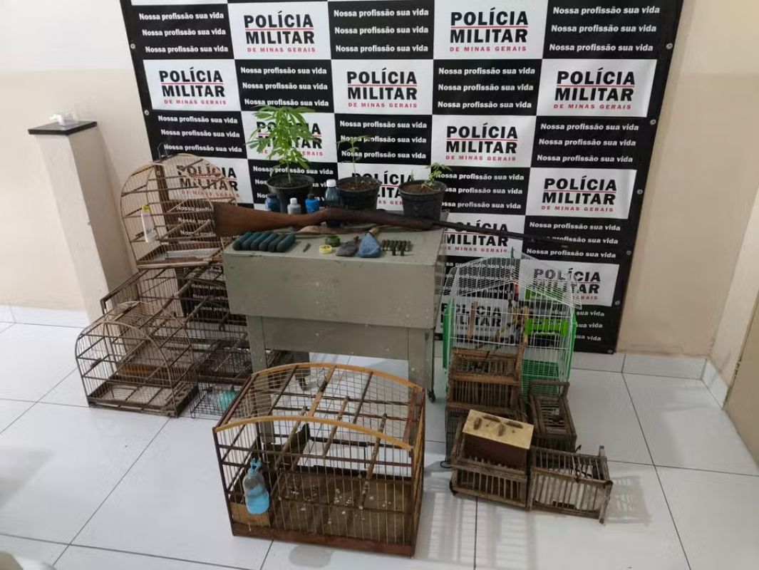 Homem é preso com arma artesanal, munições, drogas e pássaro silvestre em Coroaci