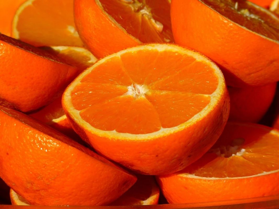 Tarifa de Trump ameaça exportação brasileira de suco de laranja