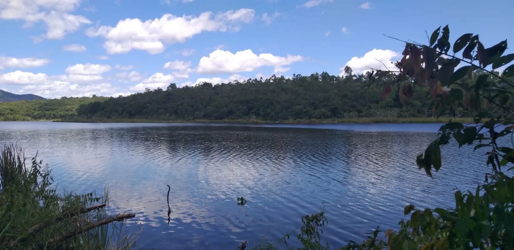 Três são presos por desmate ilegal em área de preservação em Bom Jesus do Galho
