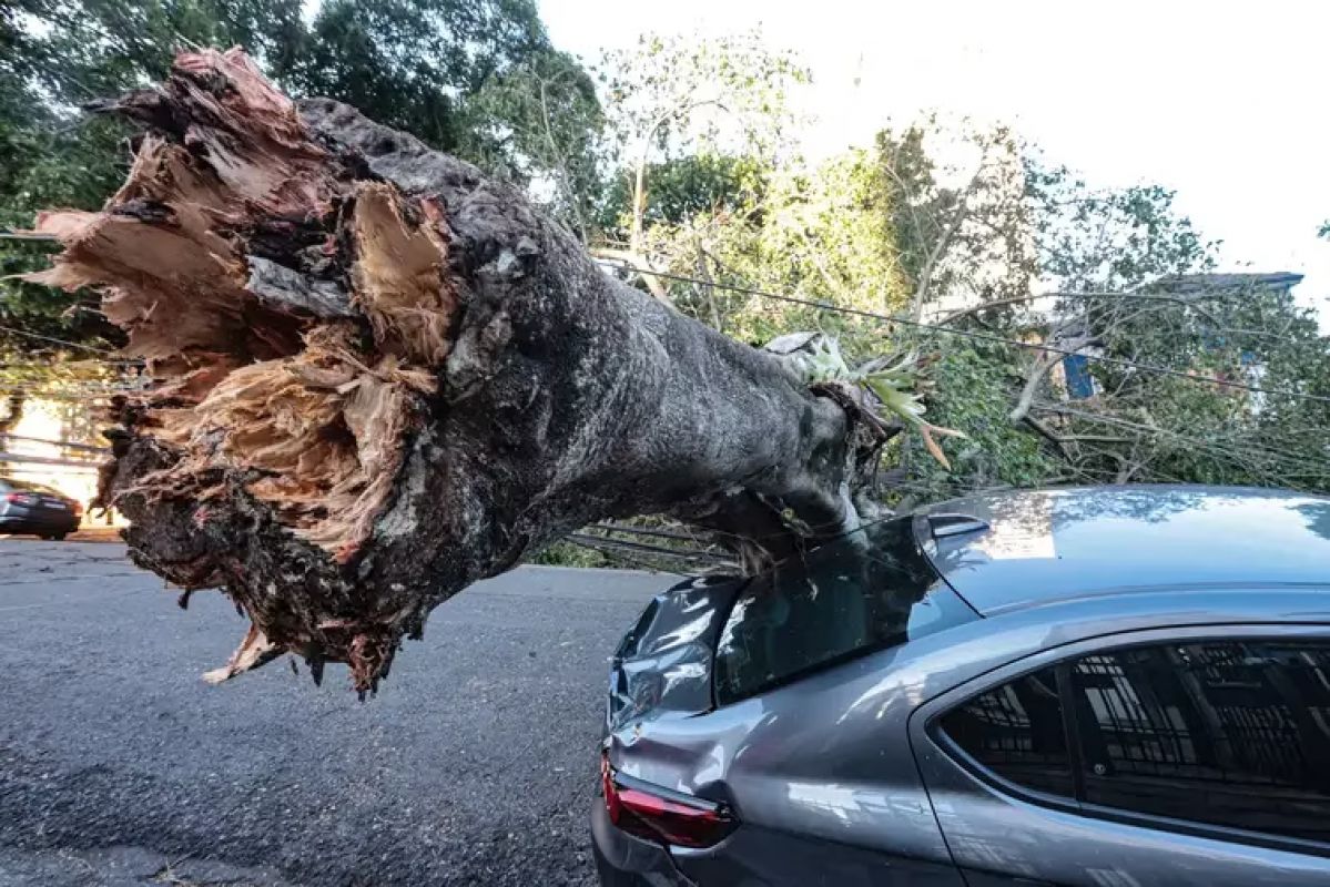 Apagão em São Paulo deixa 1,3 milhão sem energia após fortes rajadas de vento