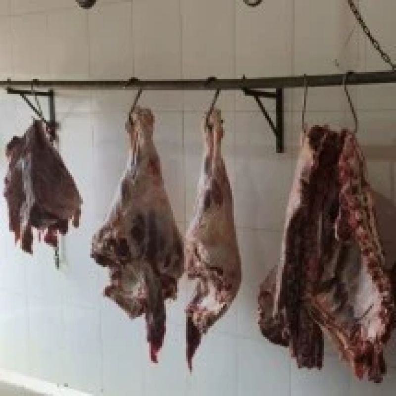 Abatedouro clandestino é descoberto em MG com animais mortos de forma cruel