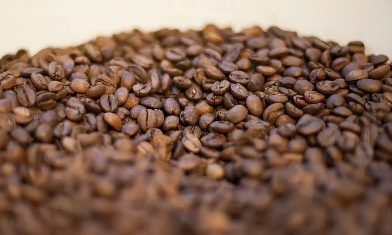 Governo manda recolher 23 lotes de café por risco à saúde; veja quais são