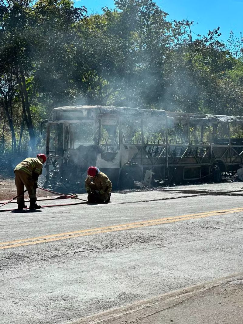 Ônibus pega fogo na BR-365 e chamas se alastram para vegetação às margens da rodovia