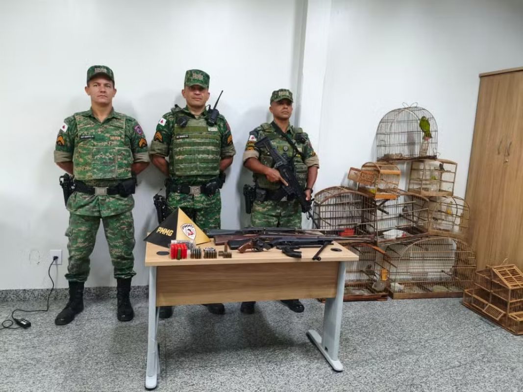 PM Ambiental encontra aves em gaiolas na varanda e apreende armas e munições em Itambacuri