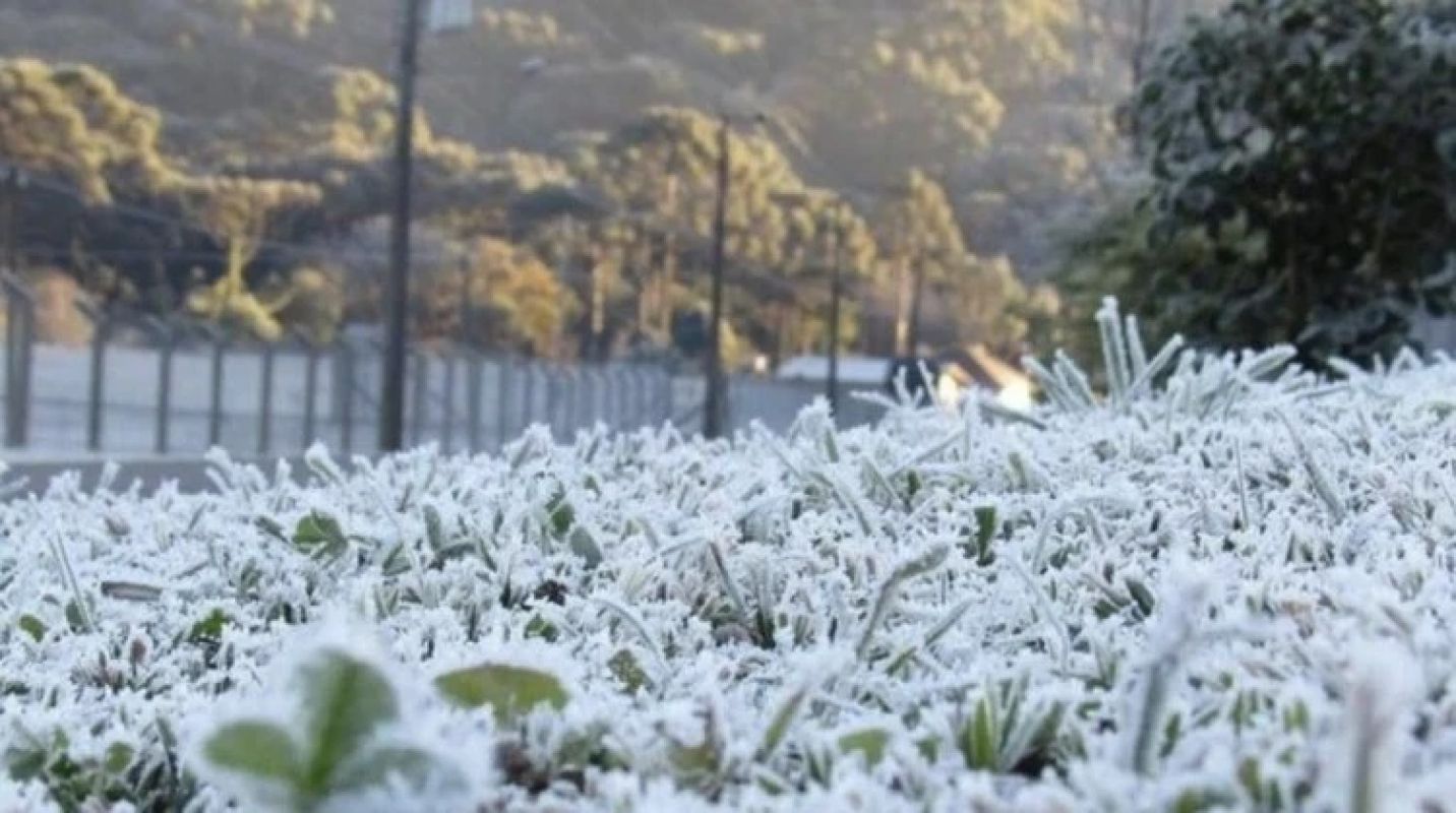 Geada ameaça 65 cidades de Minas e BH registra sensação térmica de -12,8 °C