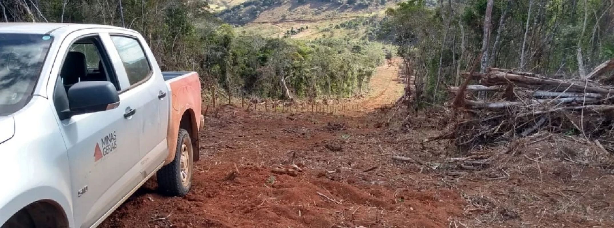 Prazo final para adesão ao programa que dá até 70% de desconto em multas ambientais termina hoje