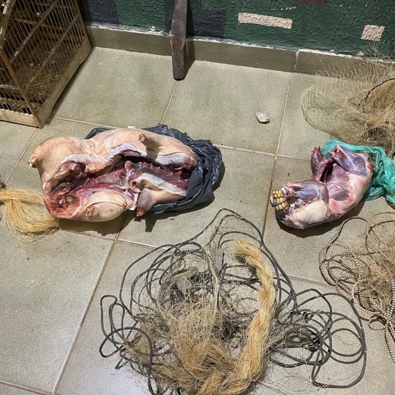 Polícia Ambiental apreende caça abatida e materiais ilegais na zona rural de Bugre