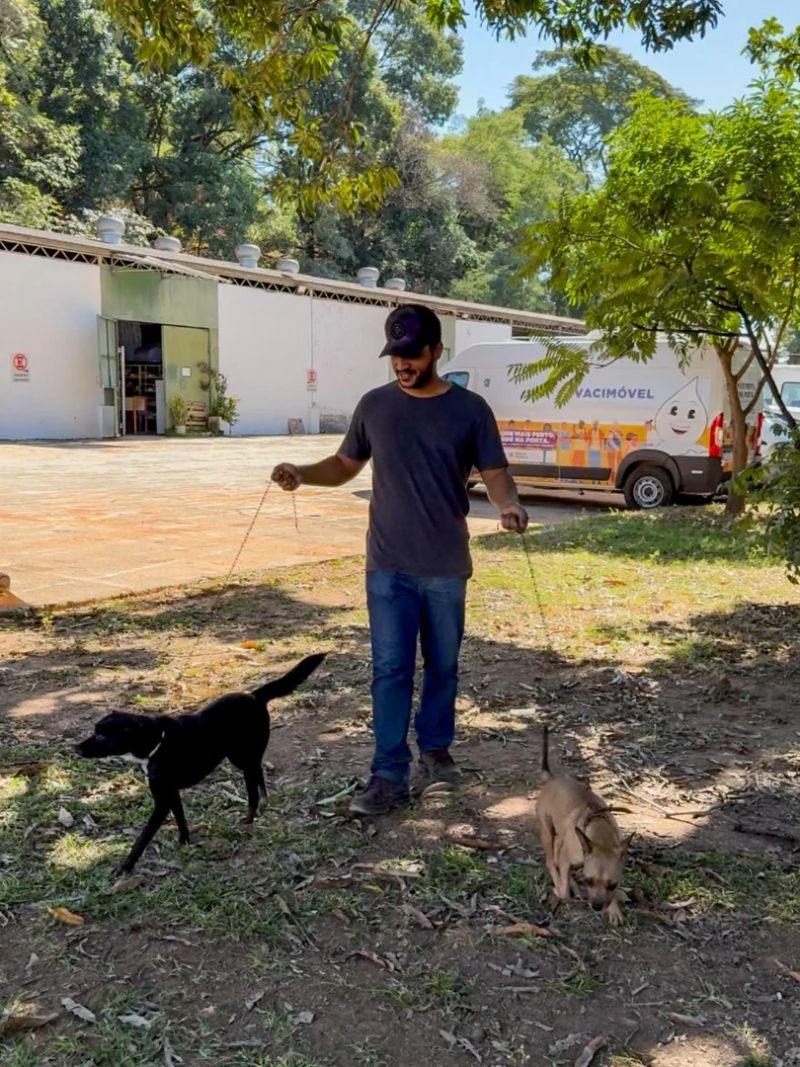 Projeto busca voluntários para passear com cães abrigados no Centro de Zoonoses de Ipatinga