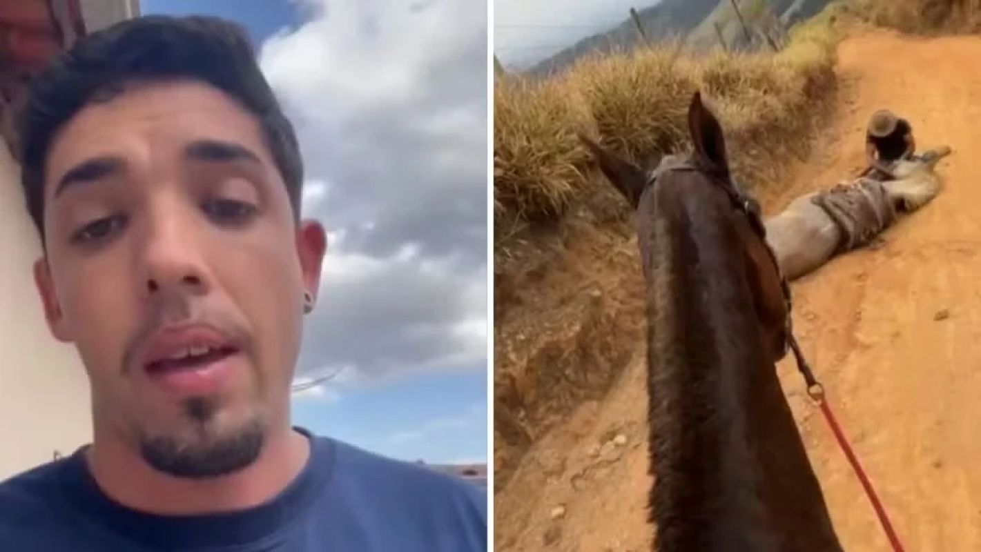 ‘Eu fiquei sem reação na hora, não soube o que fazer’, diz homem que alega inocência após filmar amigo mutilando cavalo com facão