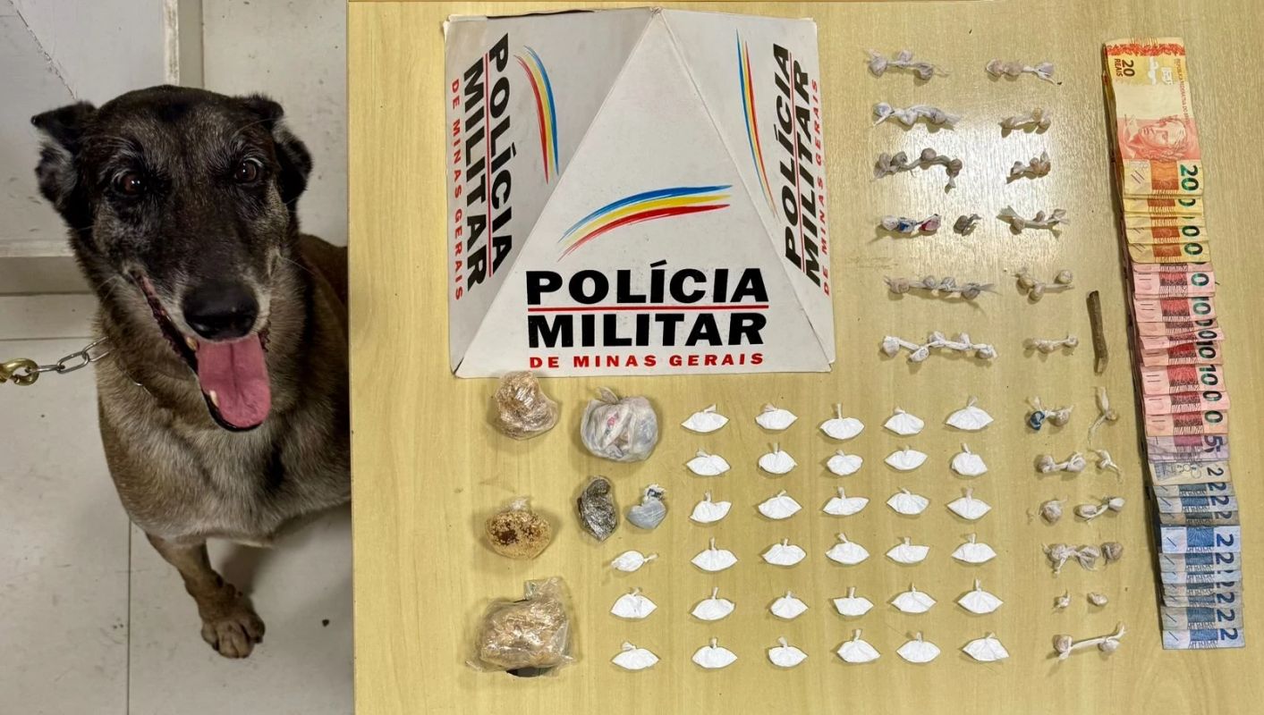 Mulher é presa e drogas são apreendidas durante operação policial em Ipatinga