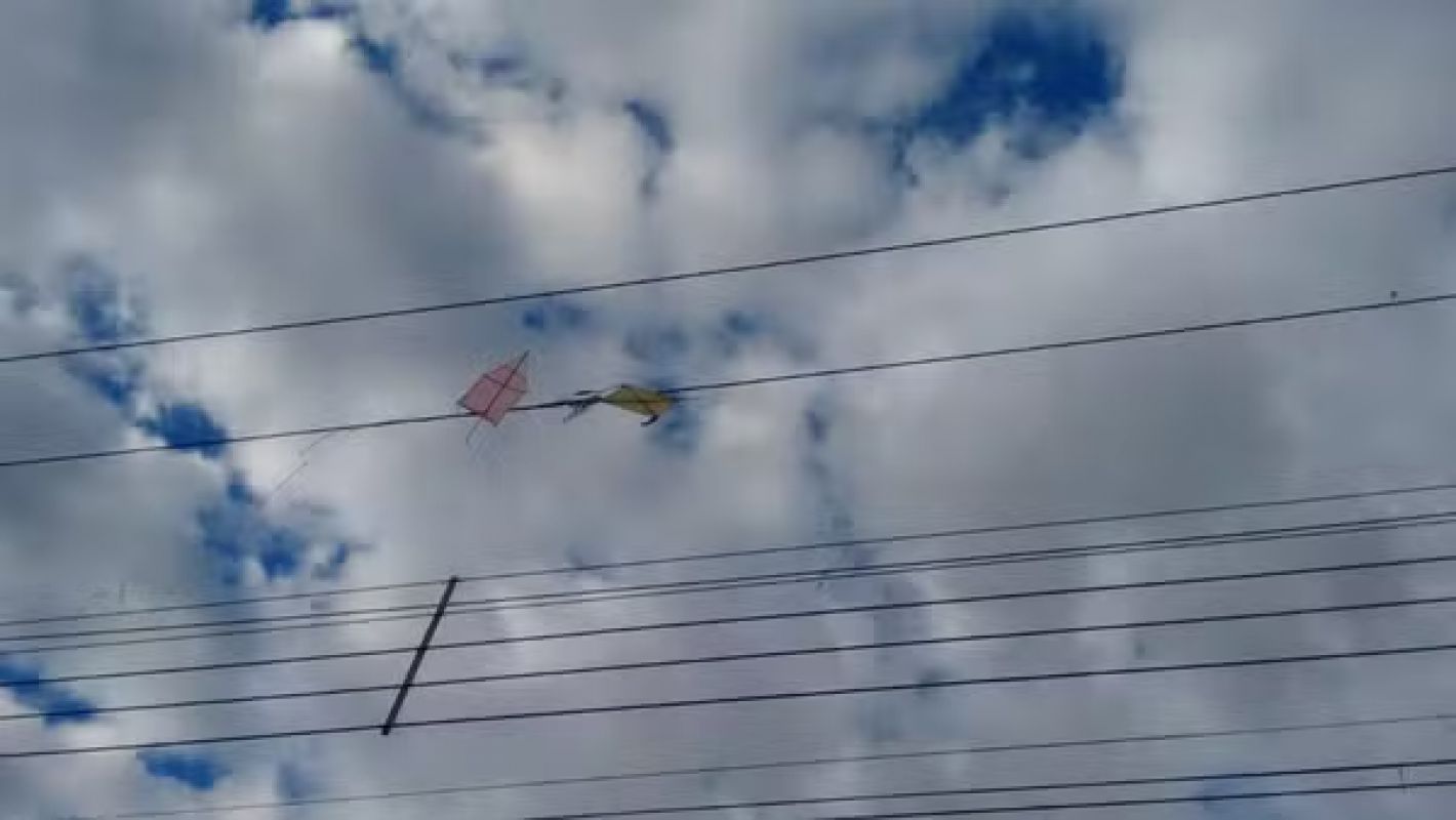  Homem morre eletrocutado ao tentar retirar pipa de rede elétrica em Periquito