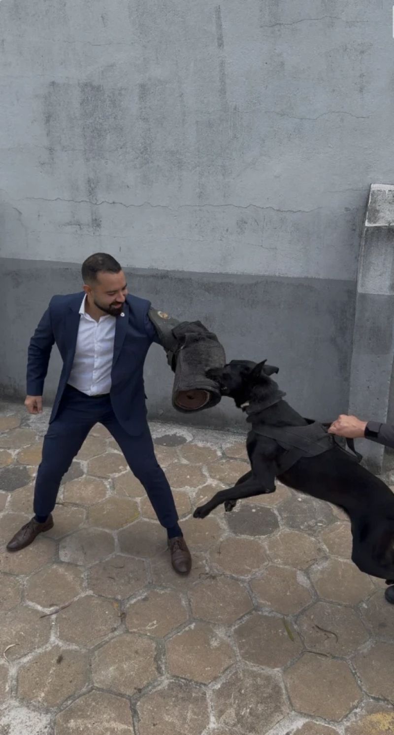 Deputado propõe criação do Banco Estadual de Ração Canina em Minas