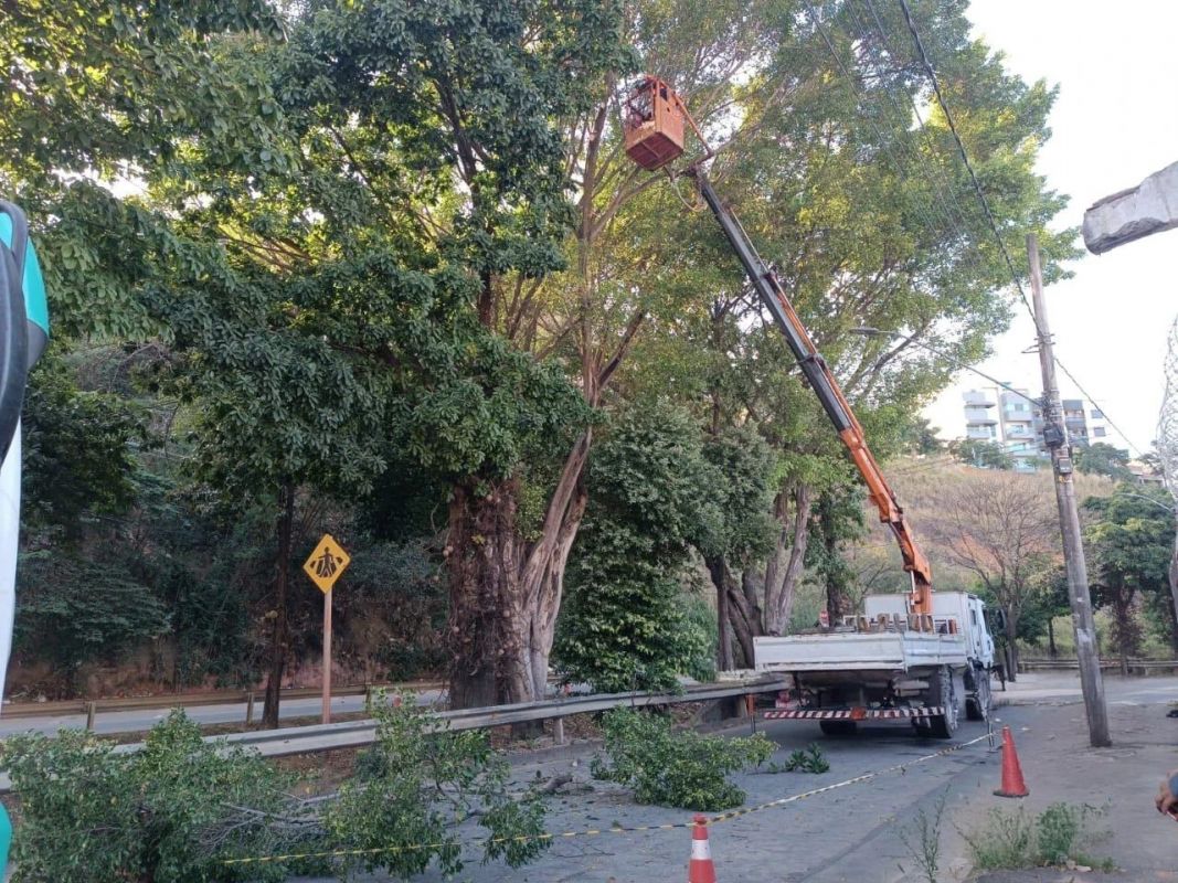 Poda de árvores altera trânsito na Avenida Gerasa em setembro em Ipatinga