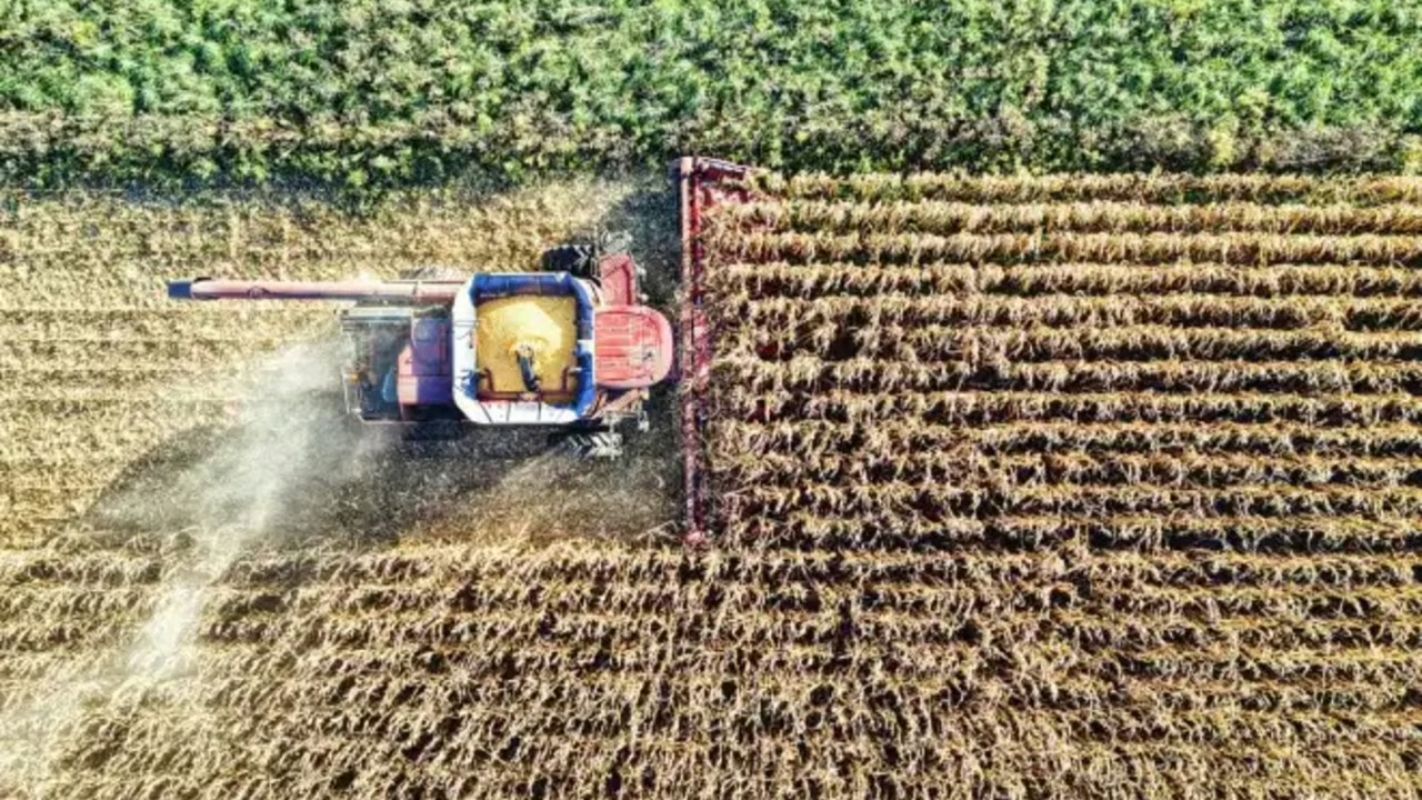 El Niño já está configurado e eleva risco de seca e incêndios em Minas Gerais