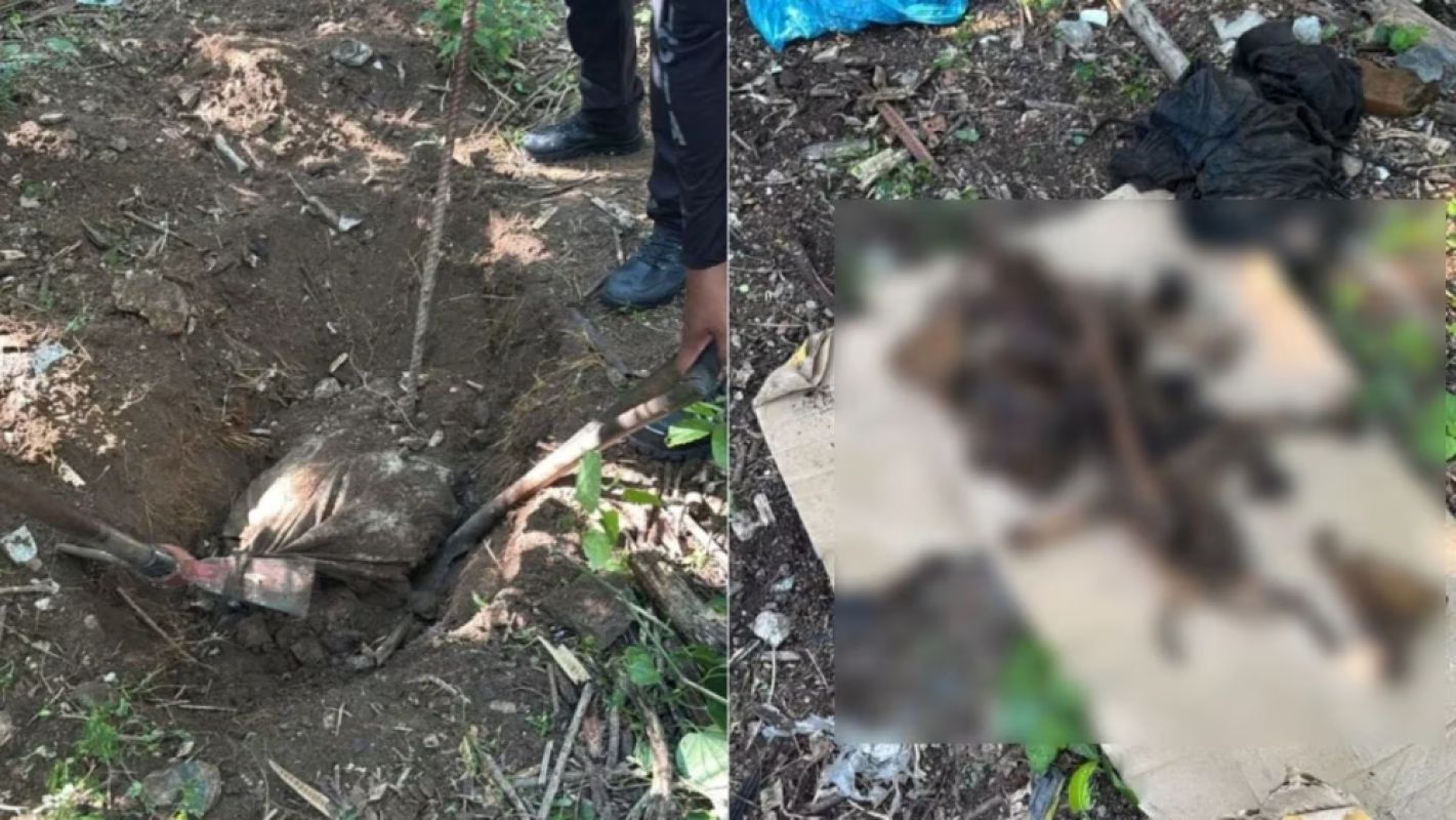 Polícia Civil encontra cemitério clandestino com quatro corpos em Rio das Pedras