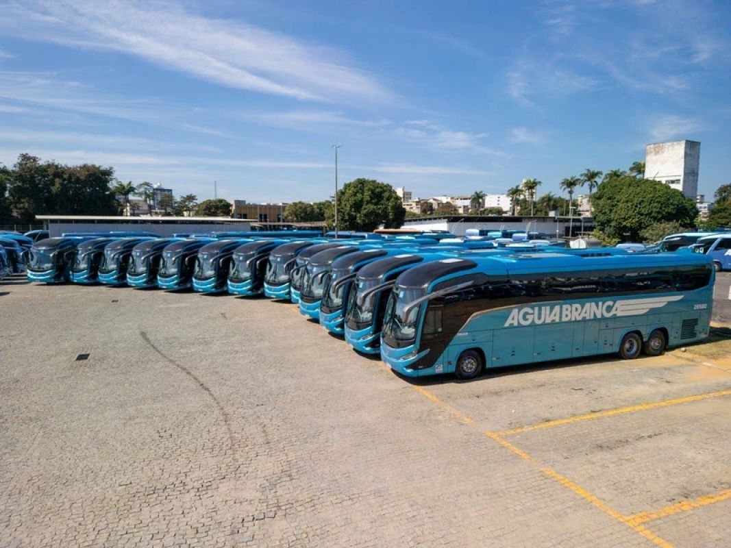 Águia Branca abre 400 vagas de emprego; há oportunidades para Ipatinga