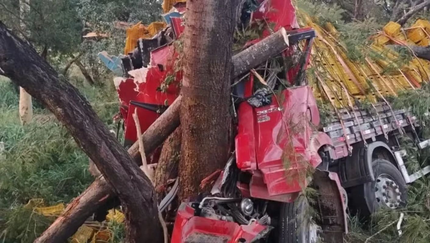 Motorista morre após perder controle e bater em árvore na BR-135