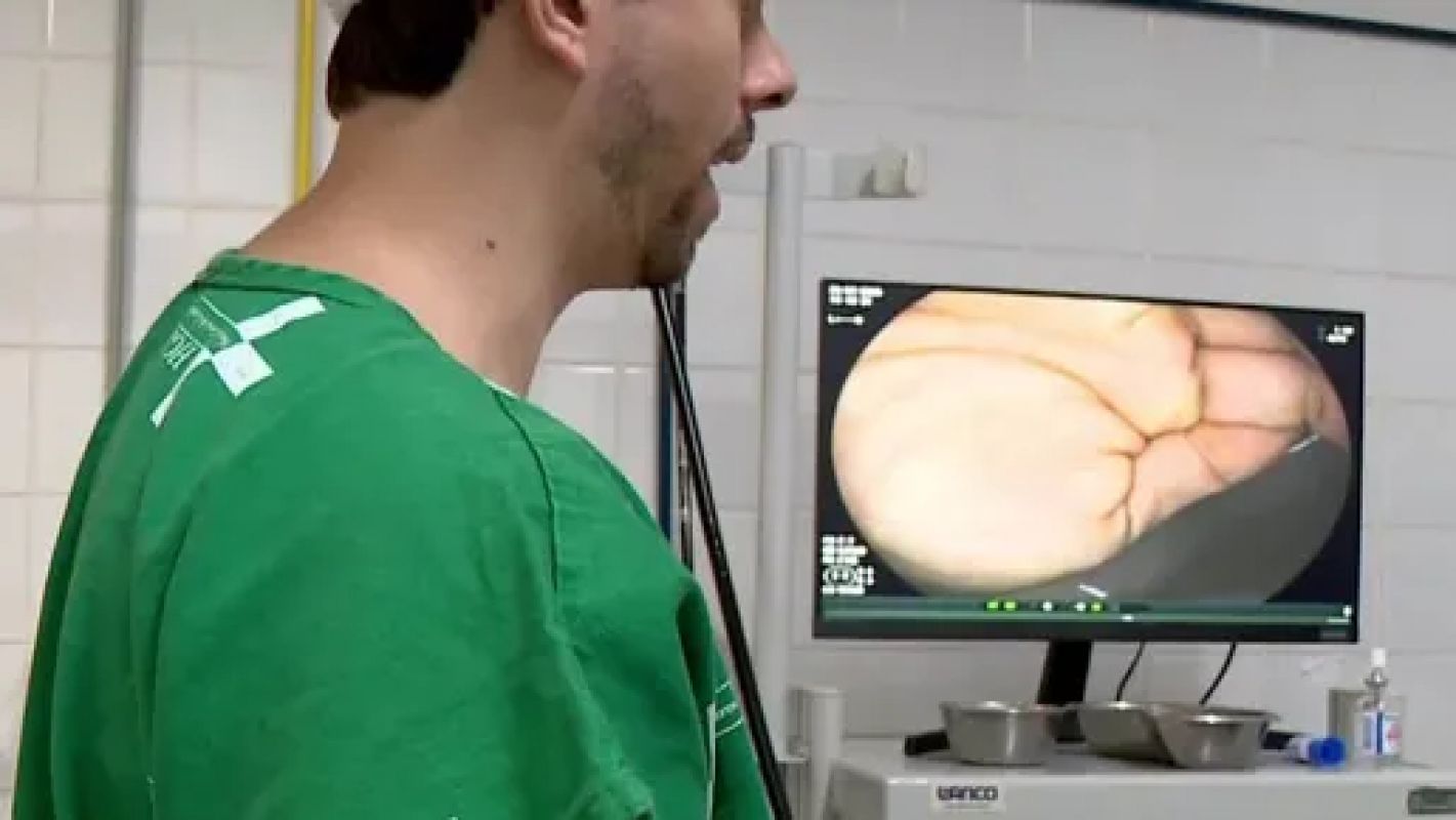 Com terapias modernas, câncer caminha para se tornar doença crônica controlável, dizem médicos