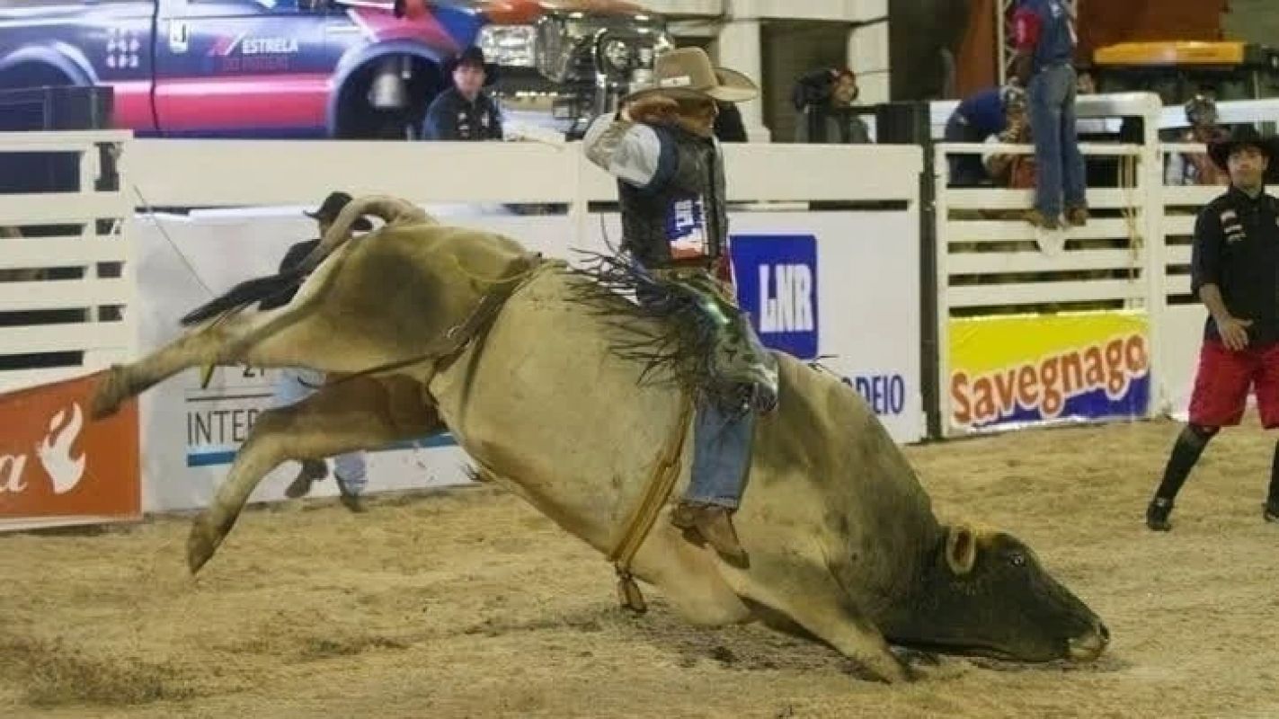 Justiça de MG impede realização de rodeios e eventos com animais em cidade do interior
