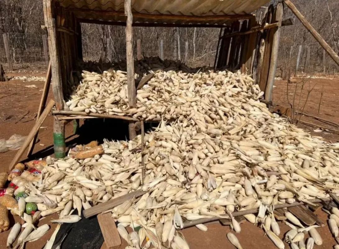 Menor é localizado com drogas e punhal escondido em paiol após matar jovem em Minas Gerais