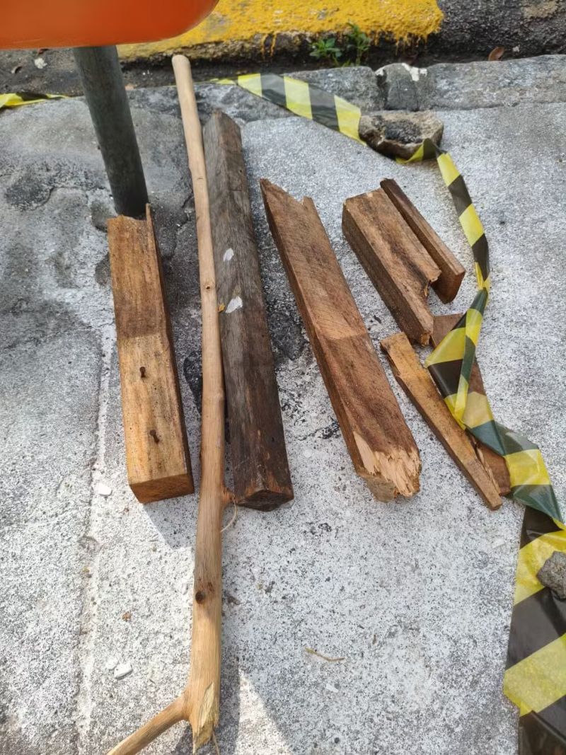 Polícia tenta identificar 8 homens flagrados por vídeo espancando capivara na Zona Norte do Rio