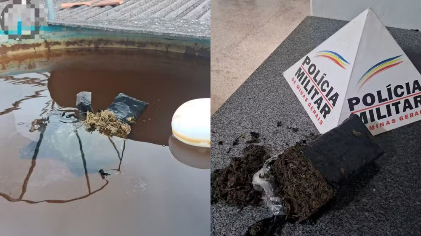 Morador estranha água verde saindo da torneira e encontra maconha dentro de caixa d'água em MG