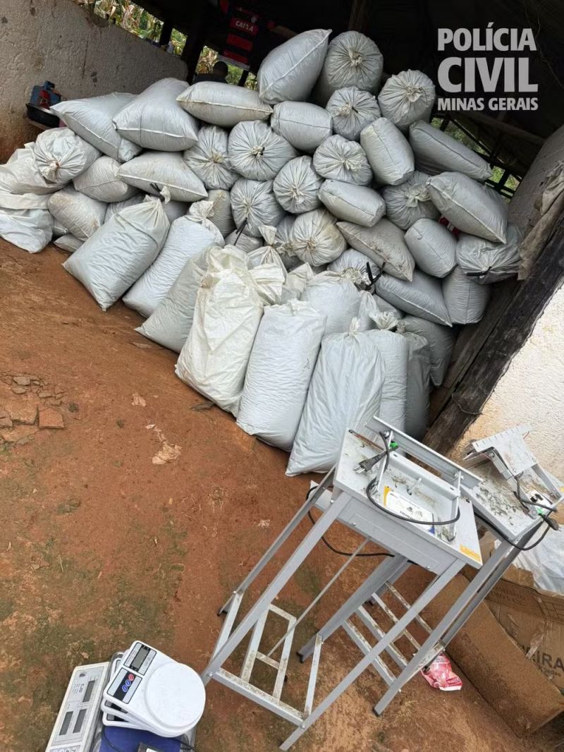  Uma tonelada de maconha é apreendida após descoberta de plantações no Vale do Jequitinhonha