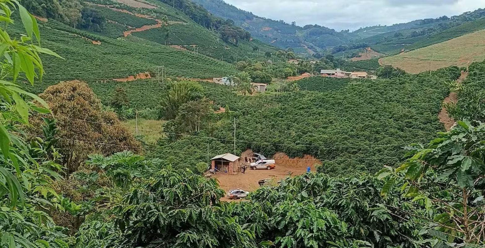 Homem é encontrado carbonizado em lavoura de café em São Domingos das Dores