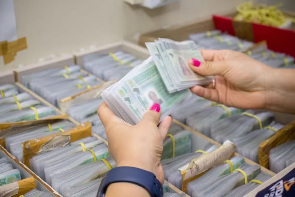 Nova regra da CNH reduz custos e leva autoescolas a oferecer pacotes por cerca de R$ 300