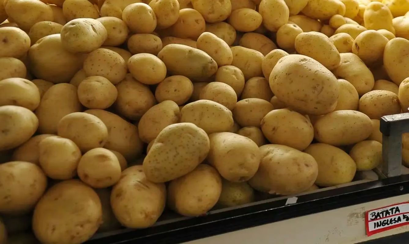 Cesta básica no Vale do Paraíba permanece estável em novembro, aponta Unitau