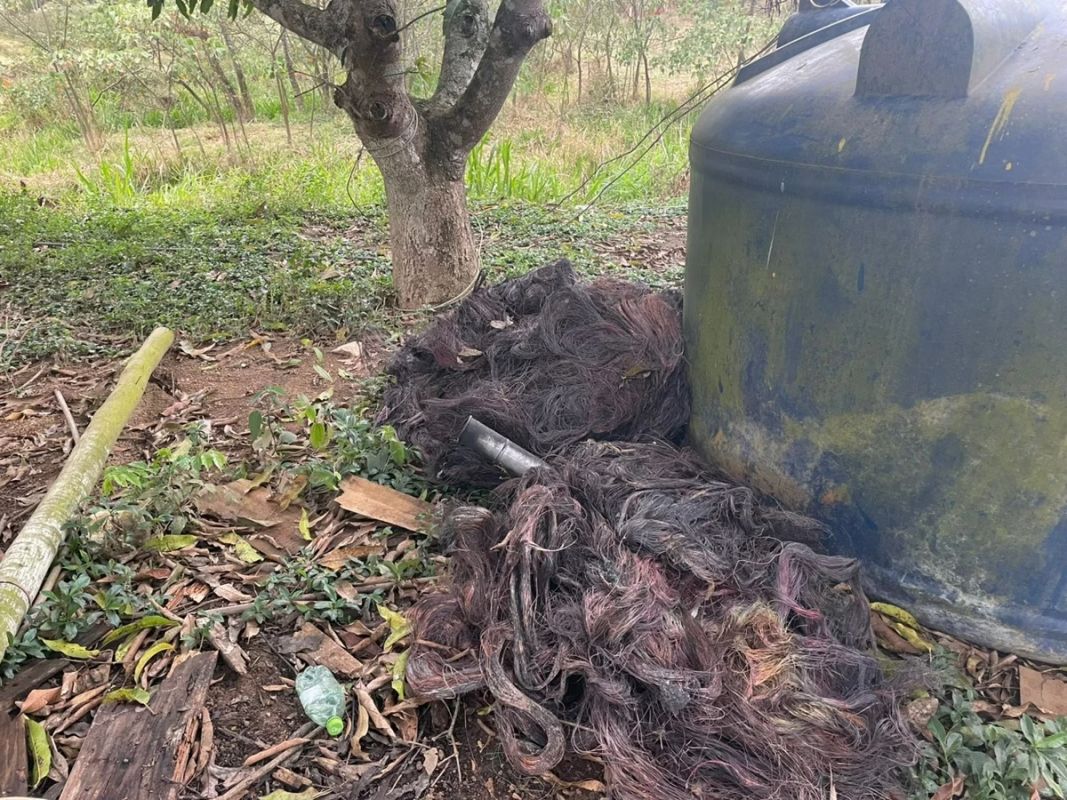 Em propriedade rural de MG, homem é preso com 1,5 tonelada de fios de cobre