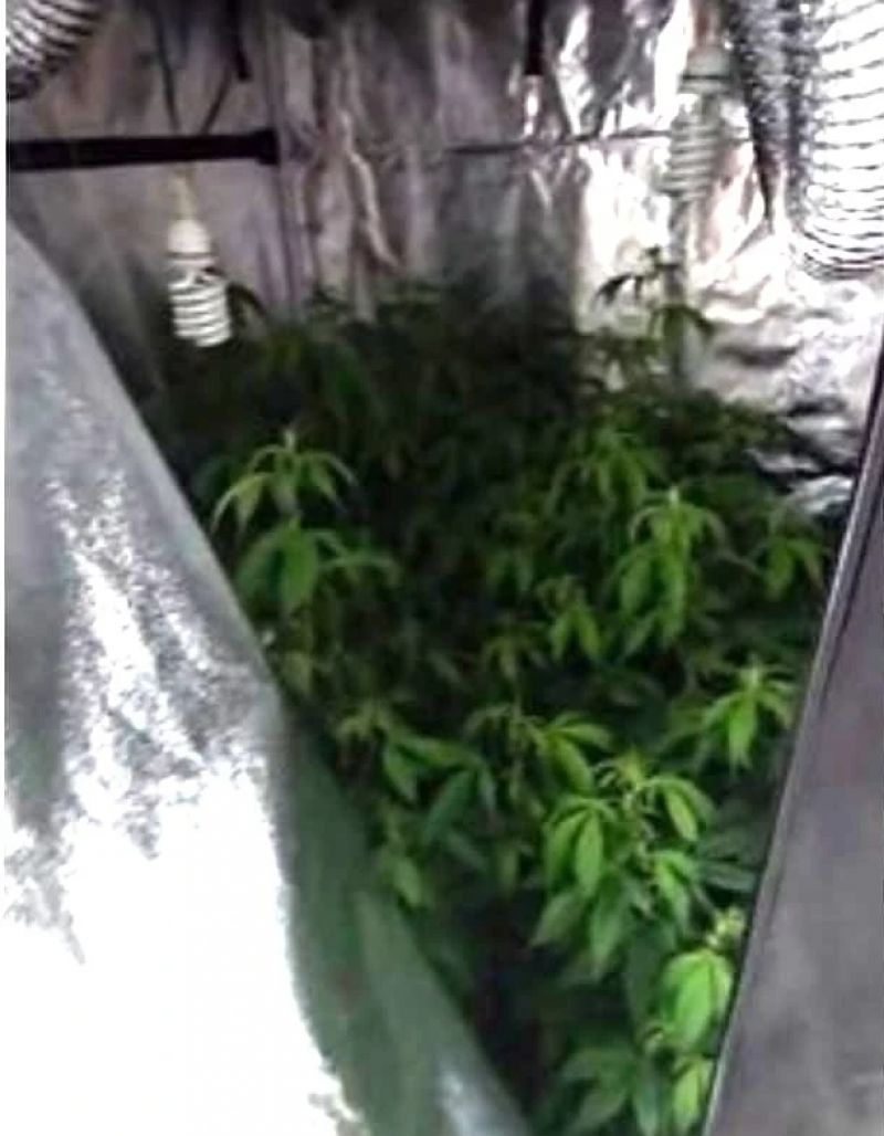 Biólogo é preso em MG por dar aulas a traficantes sobre produção de drogas