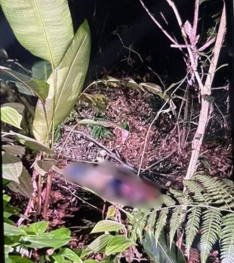 Corpo é encontrado em lote vago em Timóteo