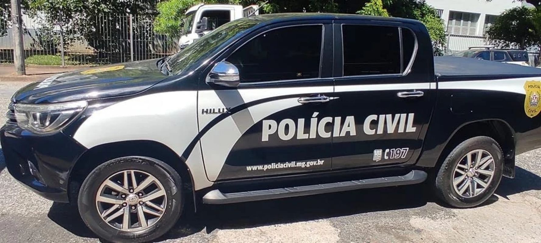 Idoso é indiciado por abuso sexual contra cadela em cidade da Zona da Mata mineira