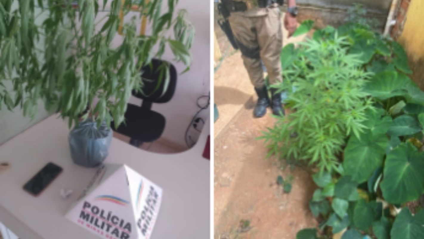 Adolescente de 14 anos agride mãe e é apreendido com drogas em Jaguaraçu