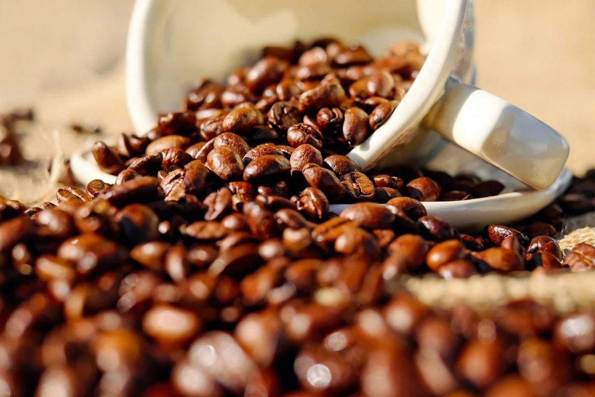 China libera 183 exportadores de café brasileiro em meio a tarifa de Trump