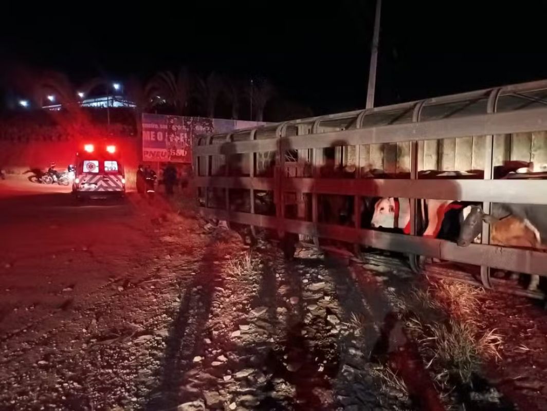 Carreta com bois tomba em trecho da BR-116 em Teófilo Otoni onde 39 morreram em 2024