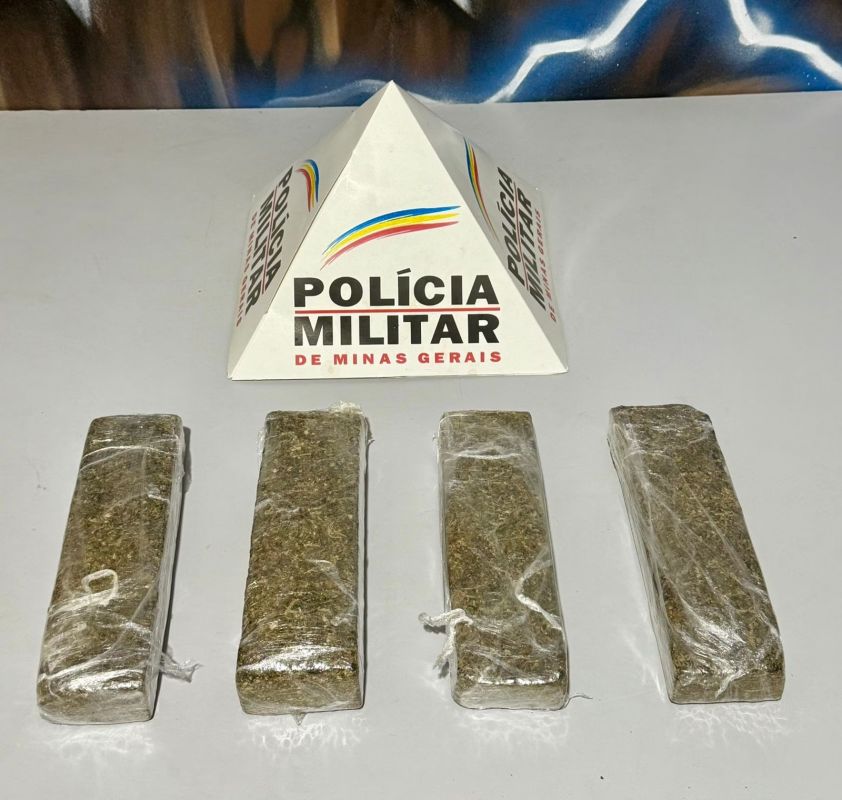 PM apreende barras de maconha escondidas em mata em Ipatinga