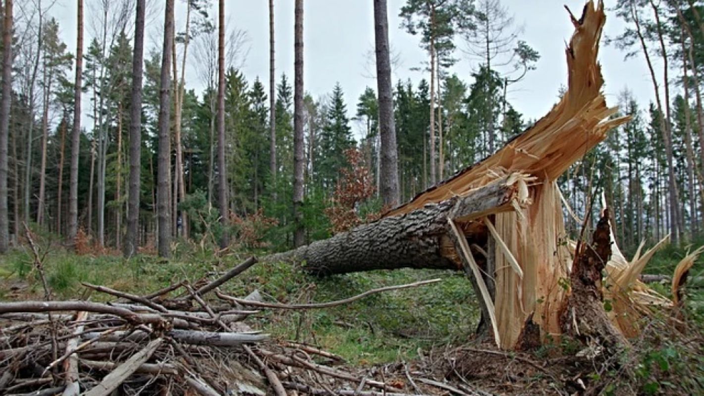 Inmet alerta para vendaval em cidades do Triângulo Mineiro e Alto Paranaíba