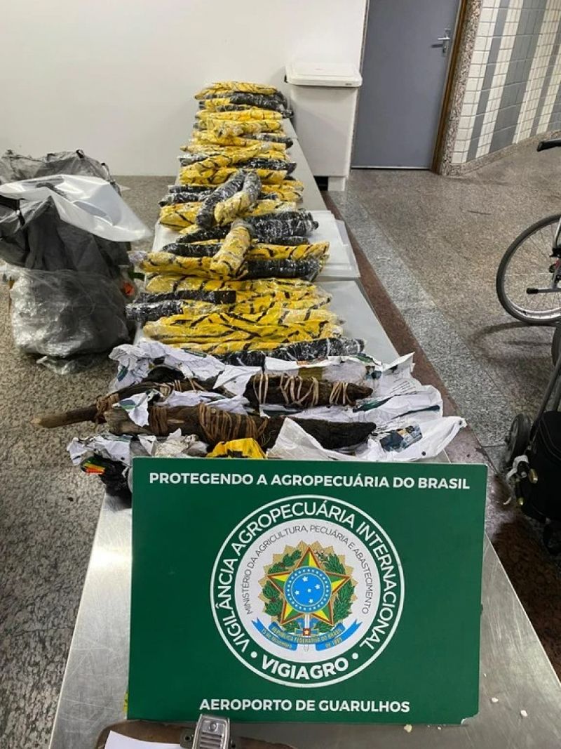 Ministério da Agricultura e Pecuária apreende mais de 130 animais mortos vindos da Nigéria
