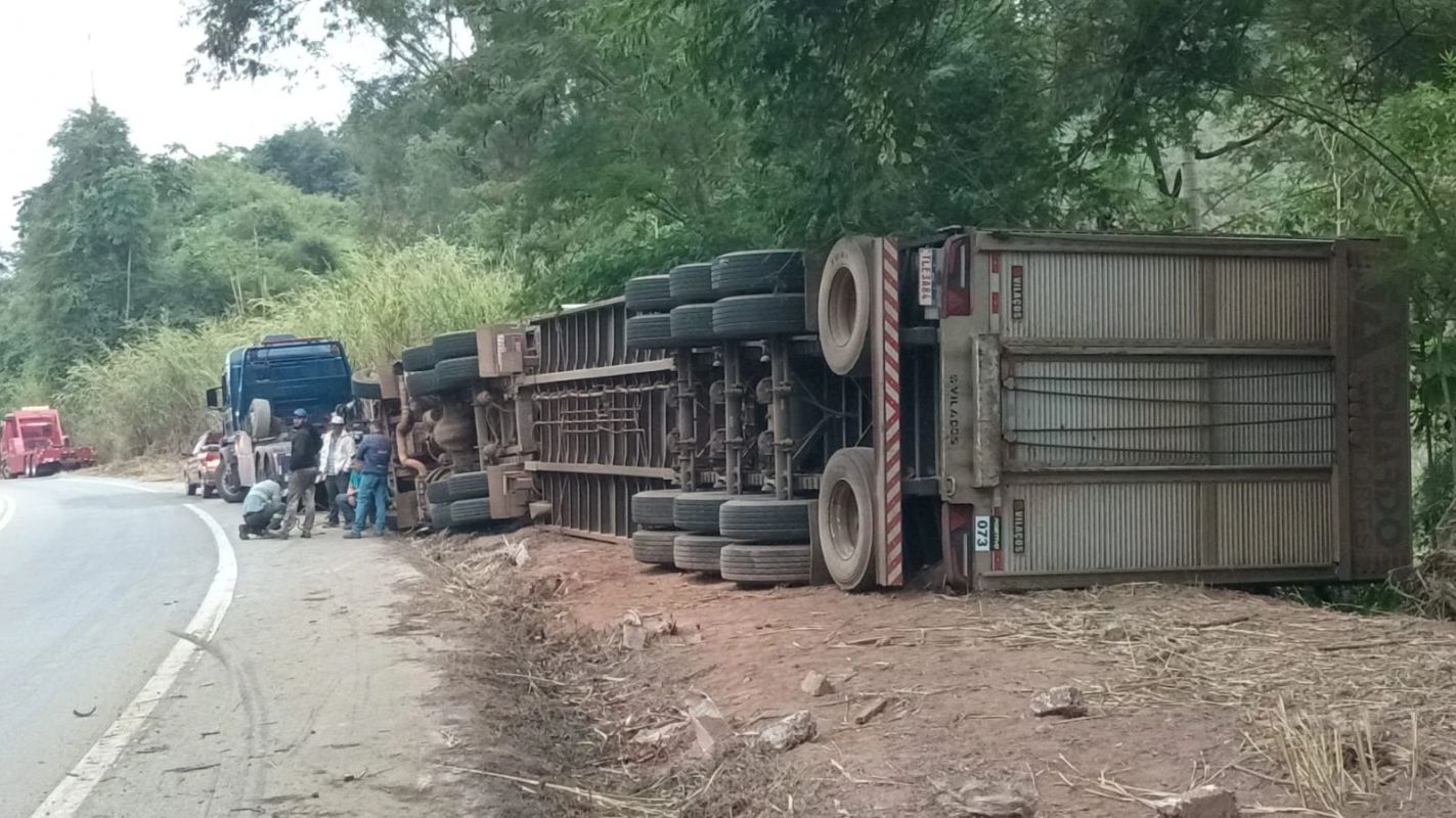 Carreta carregada com gado tomba na estrada entre Rio Casca e Abre Campo e deixa animais mortos