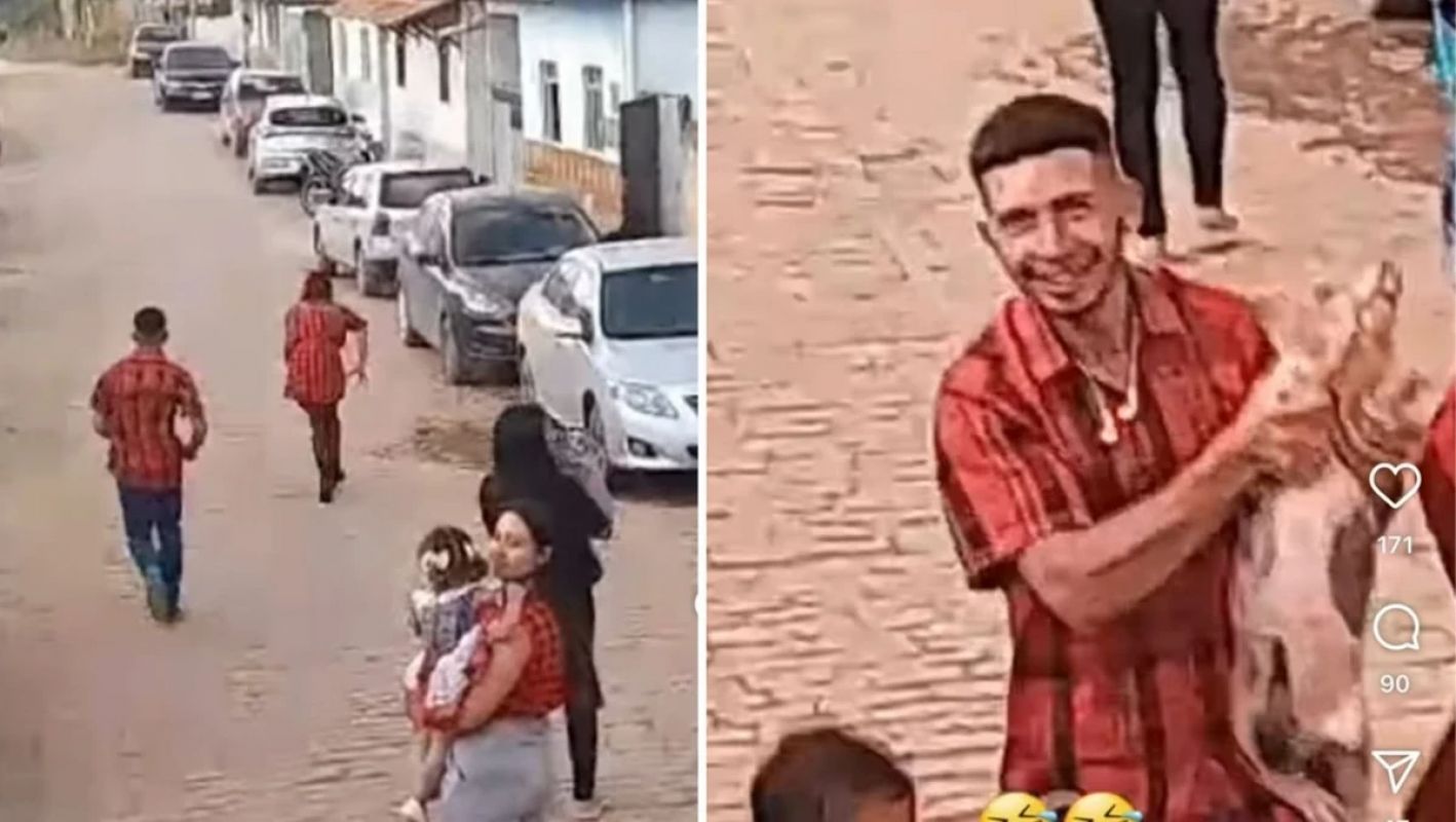 Durante quadrilha, leitoa foge e cantor vira herói em festa junina de MG