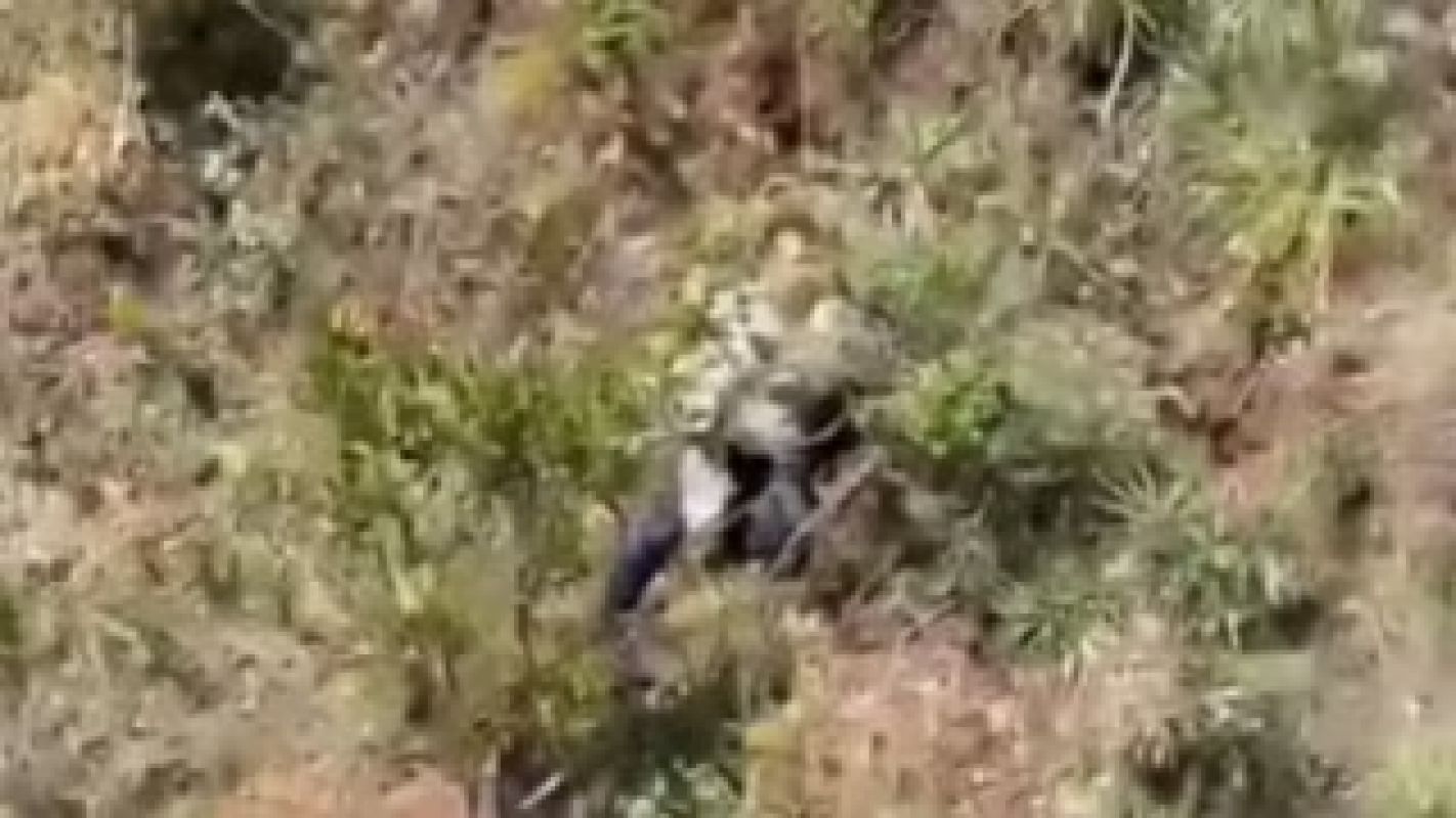 Mulher desaparecida é encontrada viva em penhasco na Serra do Rola-Moça; suspeito é preso