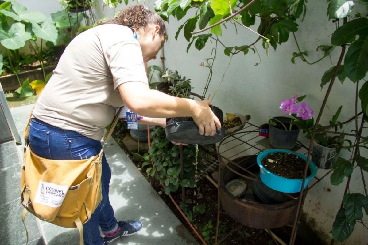 Coronel Fabriciano apresenta risco médio de transmissão da dengue no terceiro LIRAa de 2025