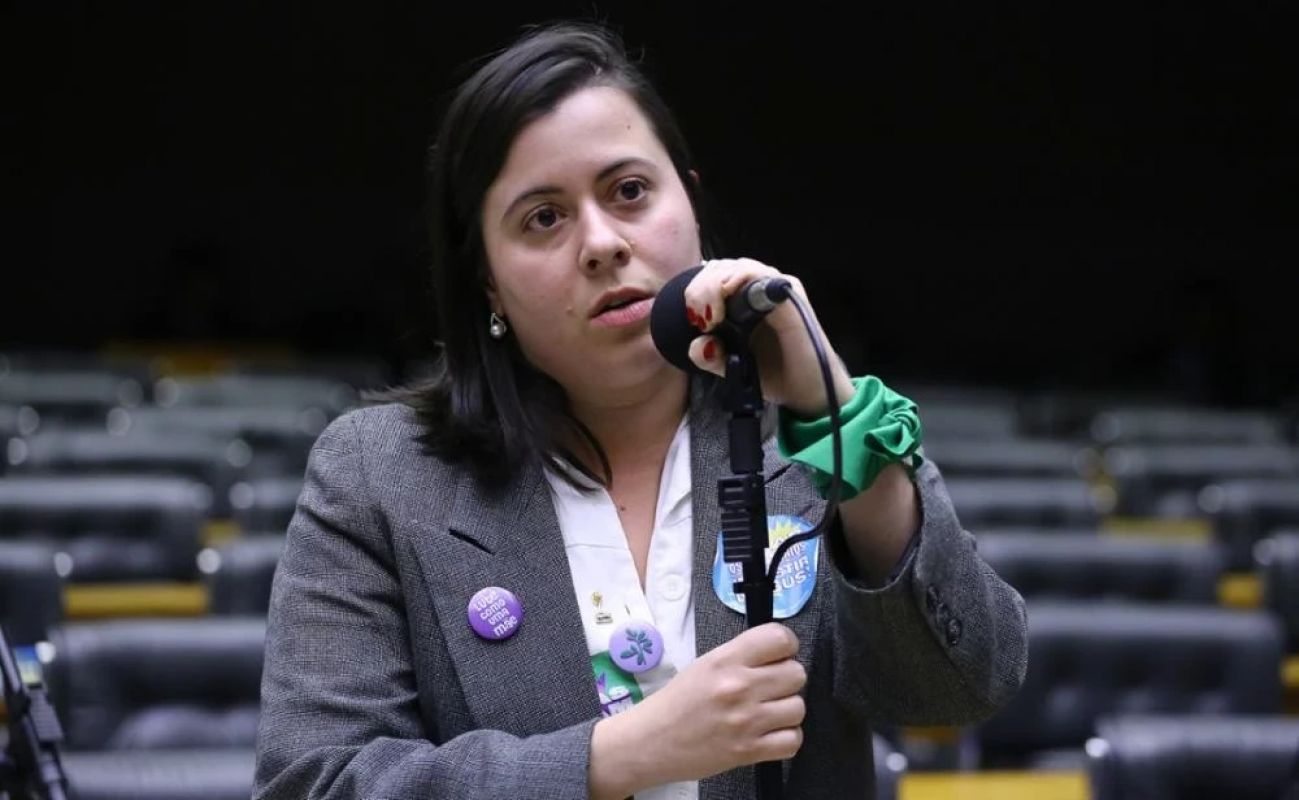 Deputada propõe taxa sobre jatinhos e classe executiva para combater mudanças climáticas