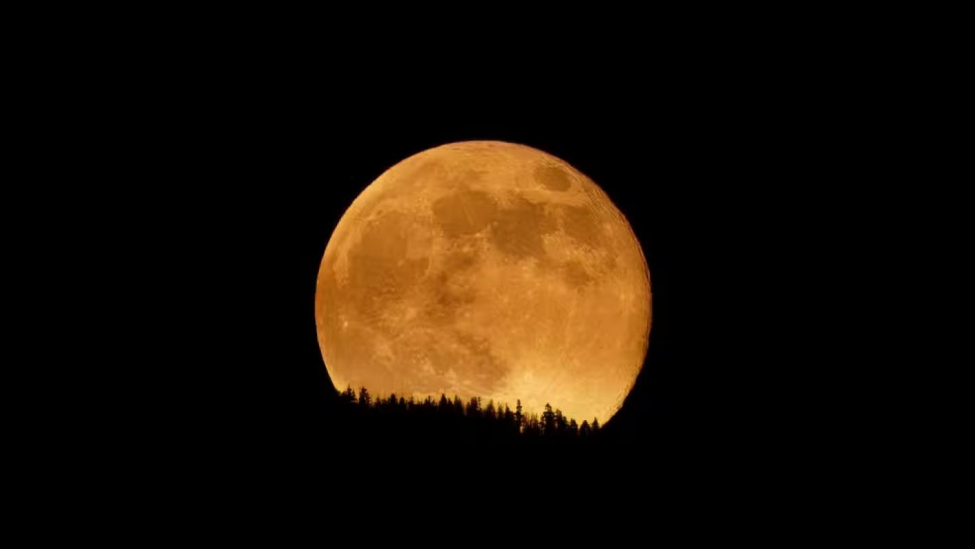 Última superlua de 2025 atinge ápice na noite desta quinta-feira; veja o horário