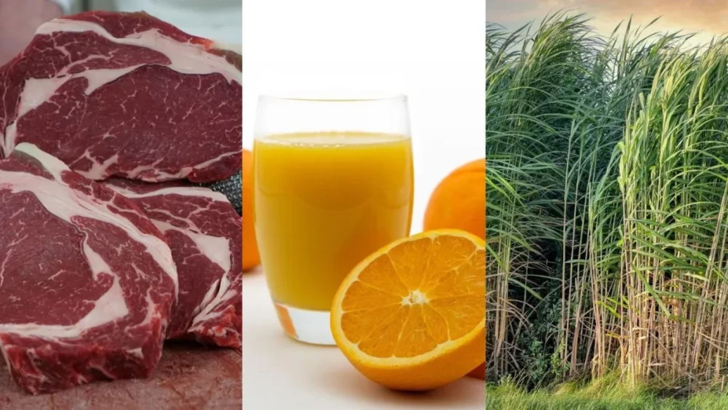 Governo busca novos mercados para o agro após alta de tarifa dos EUA