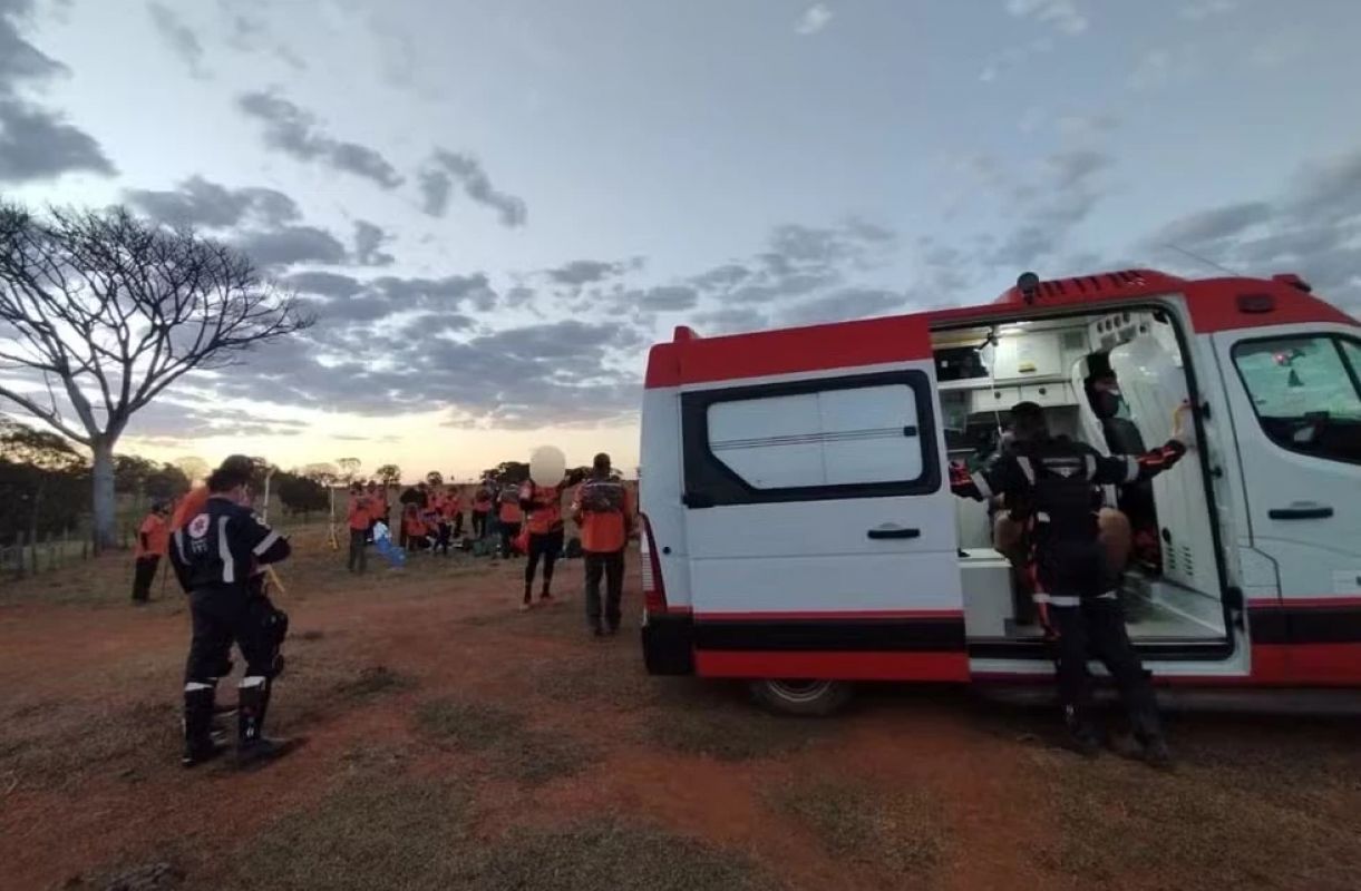 Ataque de abelhas interrompe retiro espiritual em Caldas Novas