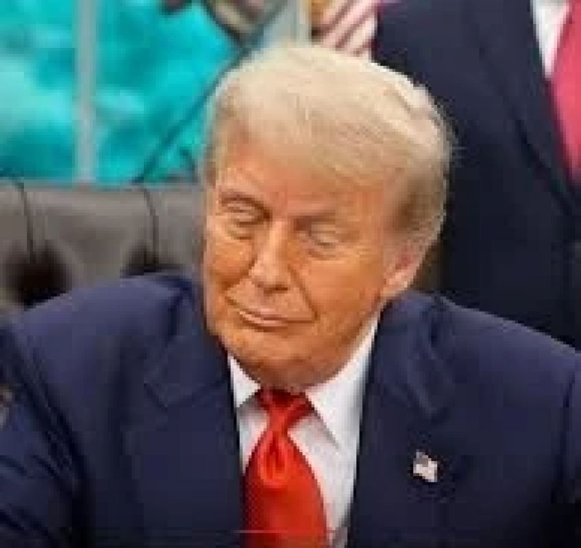 EUA vão criar centros de alimentos em Gaza, anuncia Donald Trump