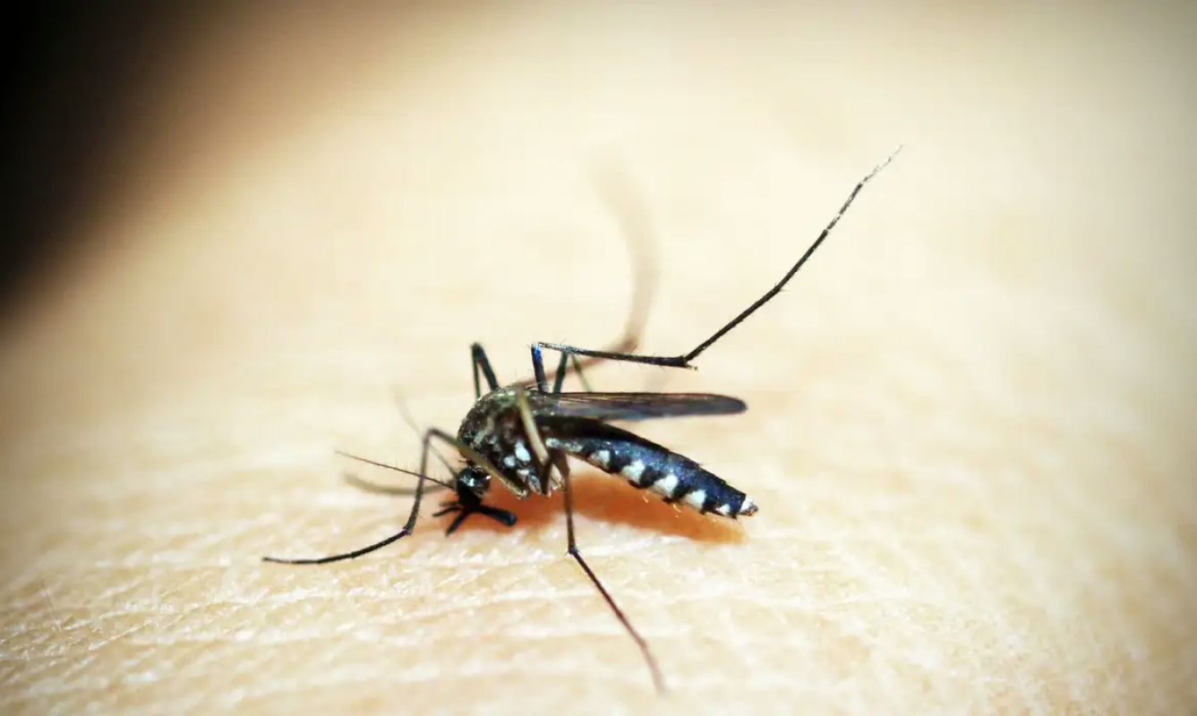 SES-MG investiga morte suspeita por dengue em Bom Jesus do Galho